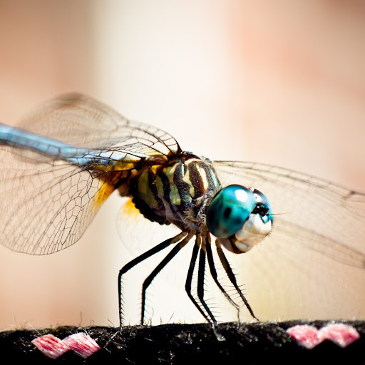 Hd-164917-ascw164917