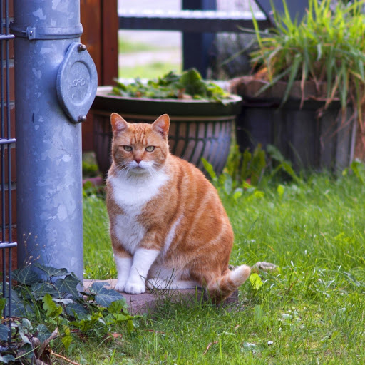 Hd-178269-ascw178269