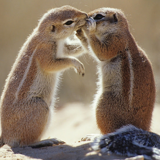 Hd-180632-ascw180632