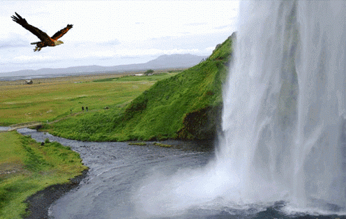 0_76e66_7187a3ca_XL_zps6501d2ba.gif