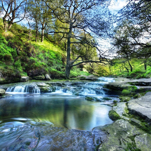 Hd-152469-ascw152469