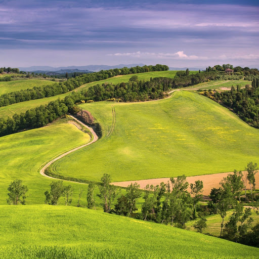 Hd-158754-ascw158754