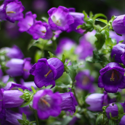 Hd-156750-ascw156750