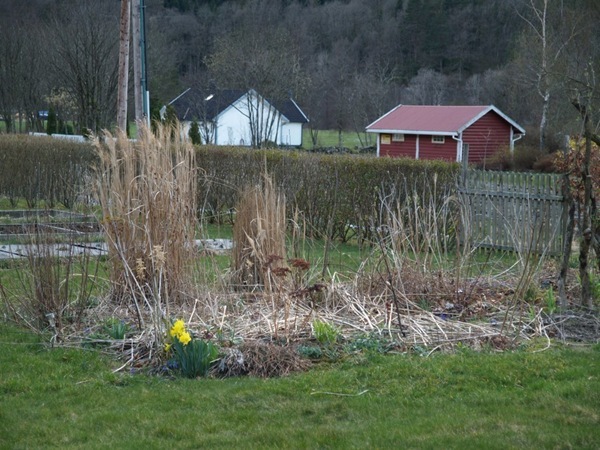 2012-03-30 Hagen på Møll (84)
