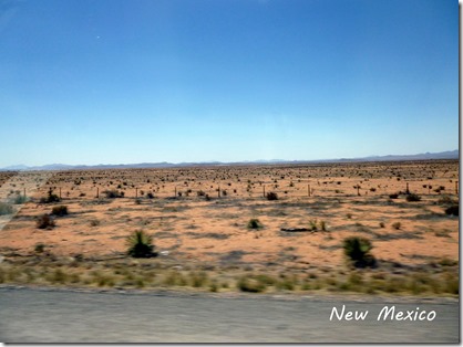 Land of Enchantment? New Mexico