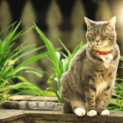 Hd-181024-ascw181024