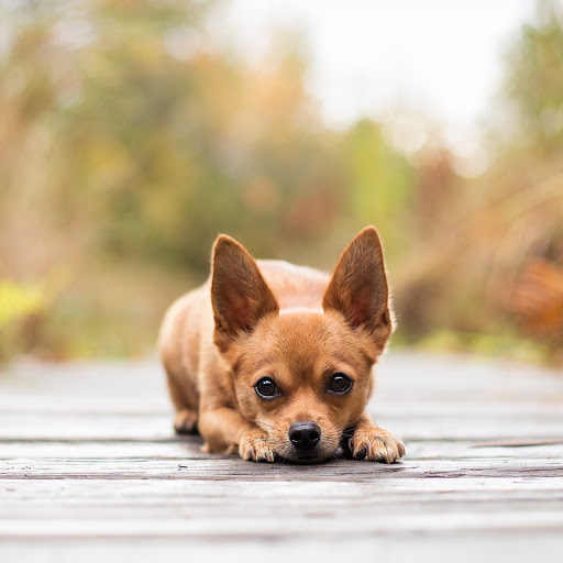 Hd-180674-ascw180674