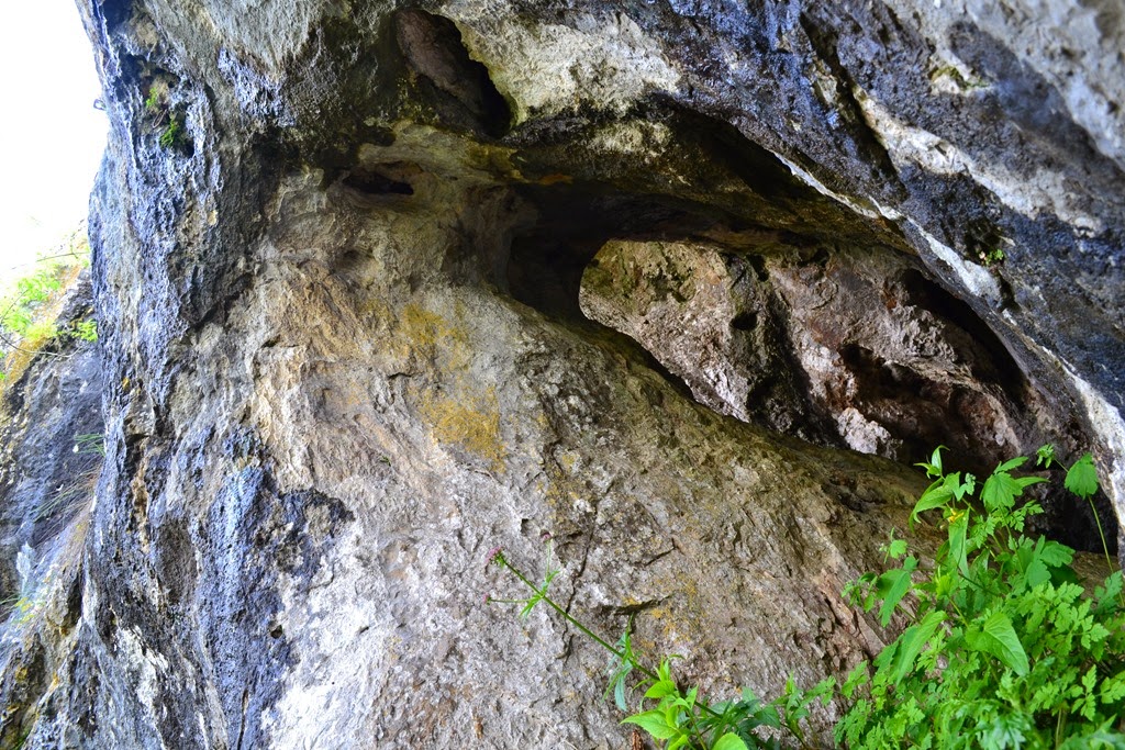 [DSC_04073.jpg]