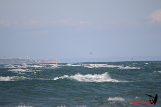 20141111_saintemarie040.JPG