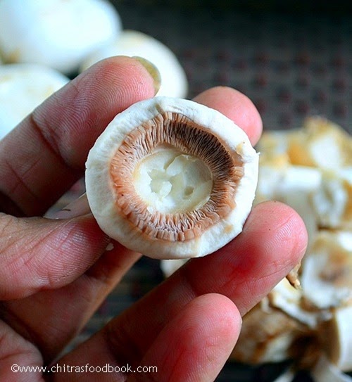 Mushroom gills