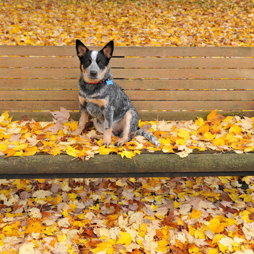 Hd-162373-ascw162373