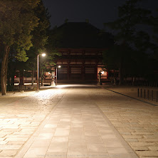 010.jpg
