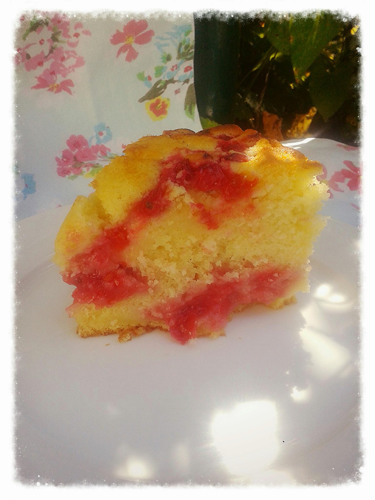 Kein Kuchen ist auch keine Lösung: Johannisbeer-Buttermilch-Kuchen