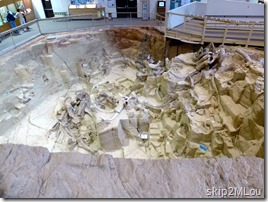 Sept 1, 2012: In-situ bones & tusks at the Mammoth Site