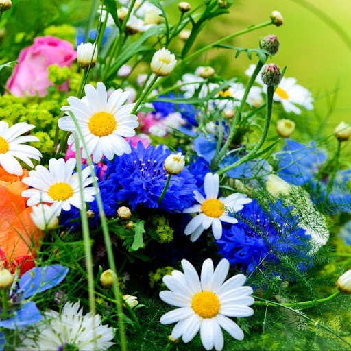 Hd-142035-ascw142035