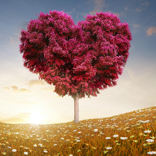 Hd-176594-ascw176594