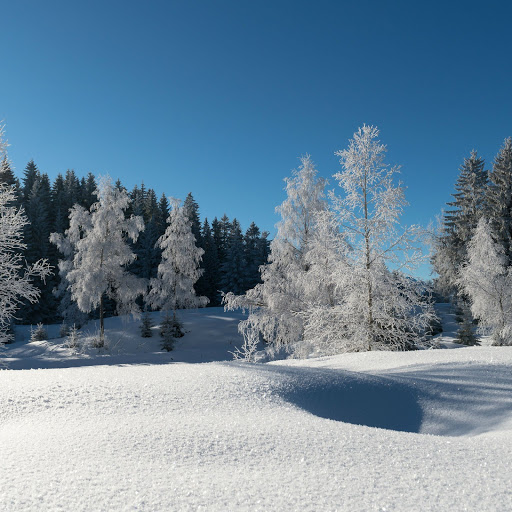 Hd-169204-ascw169204