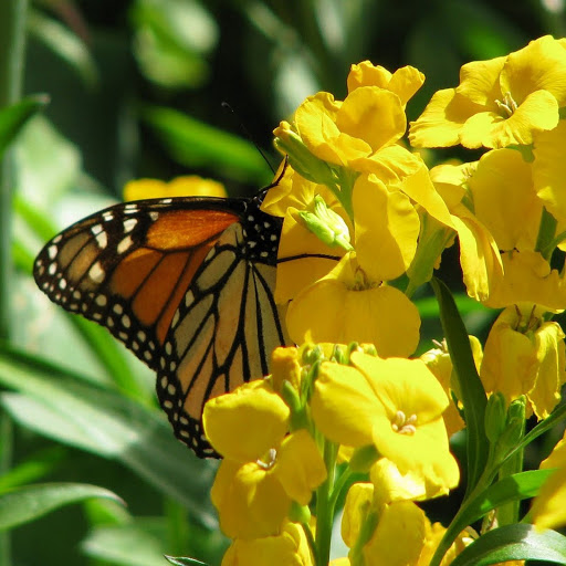 Hd-143858-ascw143858