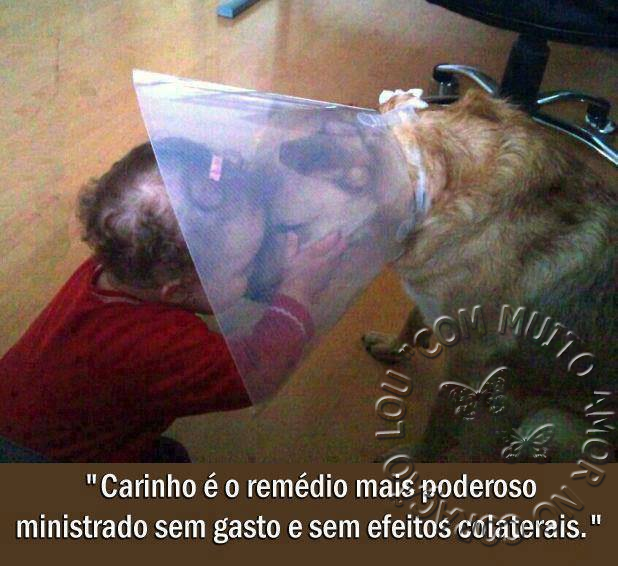 carinho.png