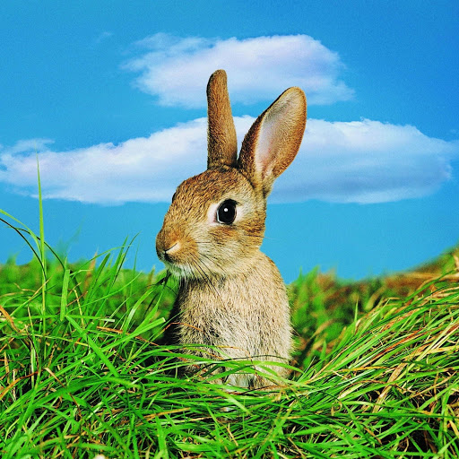 Hd-179068-ascw179068