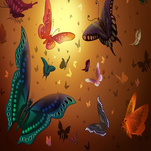 Hd-163019-ascw163019