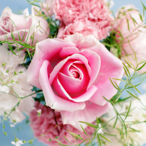 Hd-142670-ascw142670