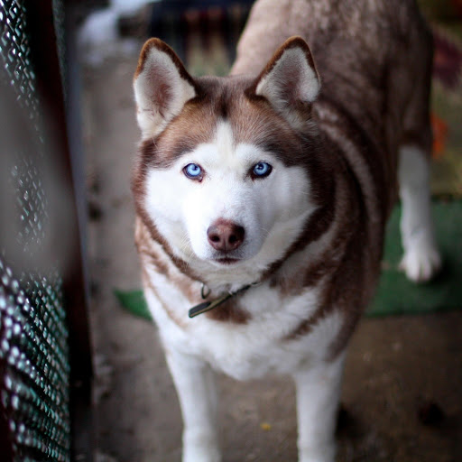 Hd-137349-ascw137349