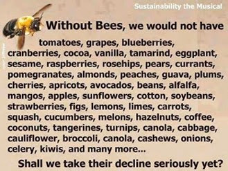 Without Bees