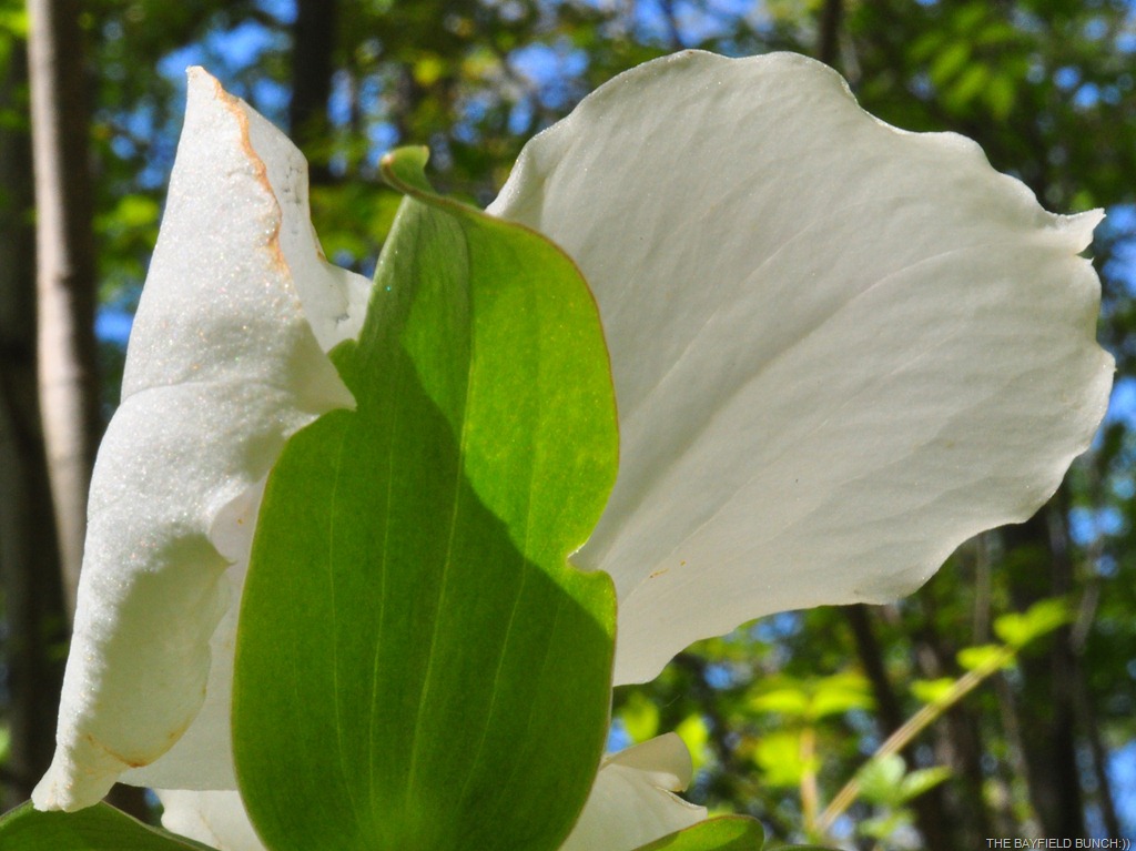 [DSC_0026%255B3%255D.jpg]