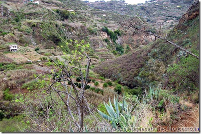 4222 Valleseco-Firgas 4222 Valleseco-Firgas