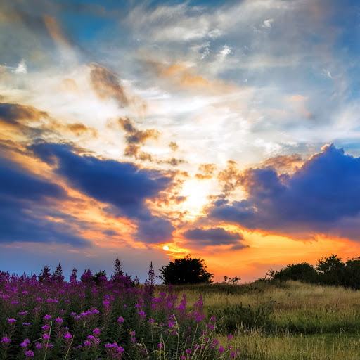 Hd-150369-ascw150369