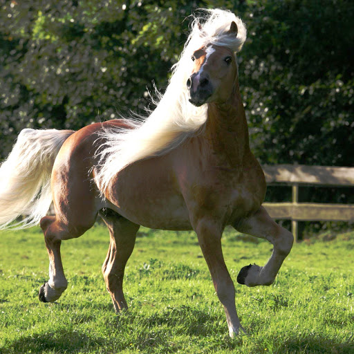 Hd-163122-ascw163122