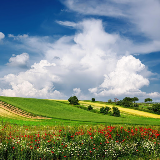 Hd-152749-ascw152749