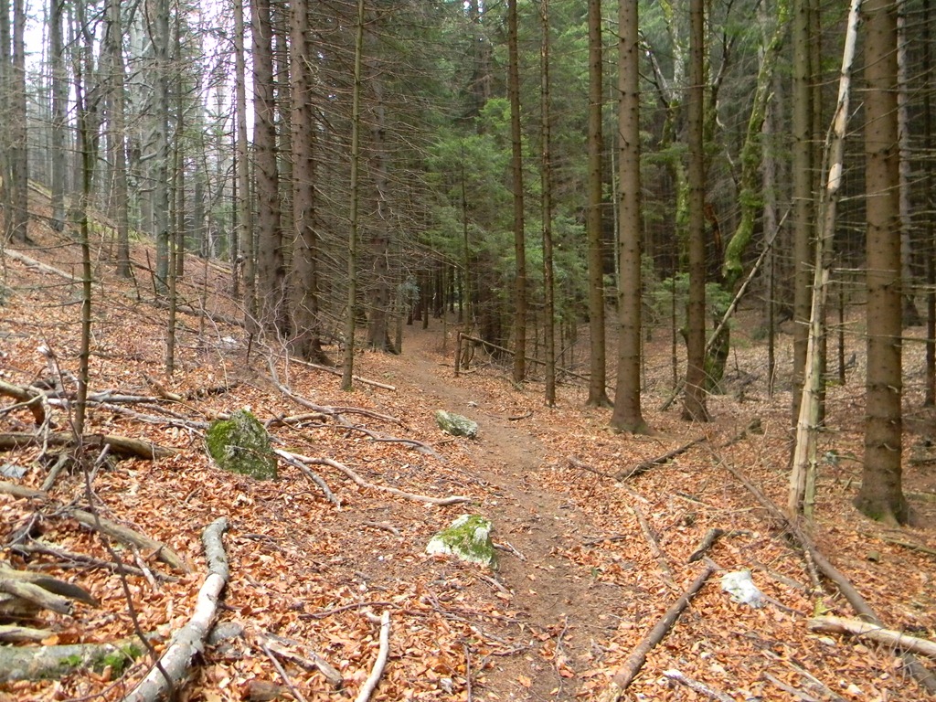 [DSCN20333.jpg]