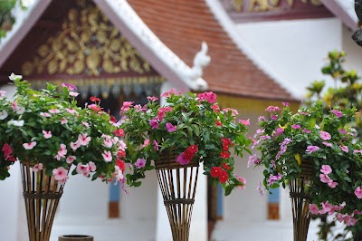 DSC_0683.JPG