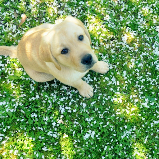 Hd-169046-ascw169046