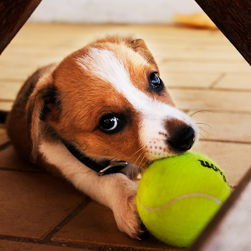 Hd-183063-ascw183063