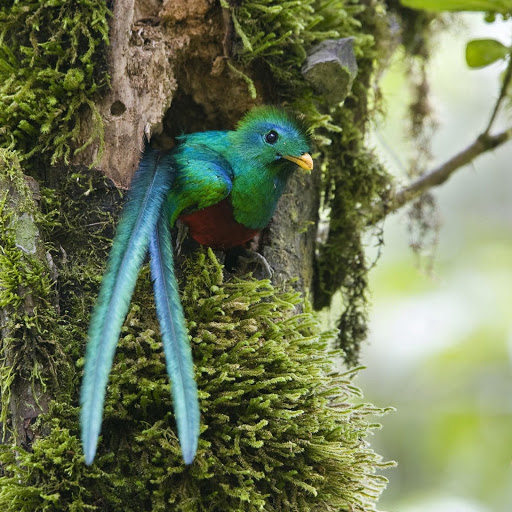 Hd-143960-ascw143960