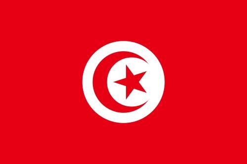 [Tar1-4-Tunisian3.jpg]