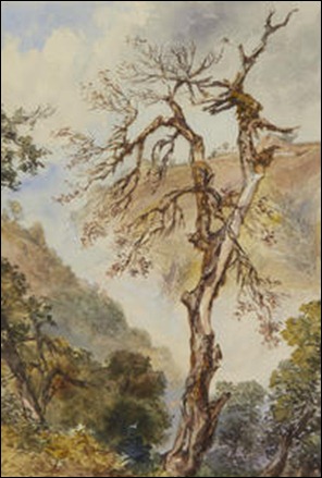 Charles Walters D Oyly - Tree Struck By Lightning