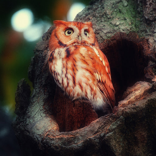 Hd-142766-ascw142766