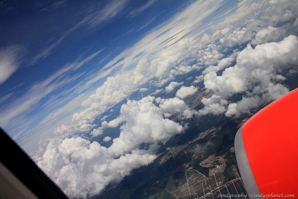 [Kuching593.jpg.webp]