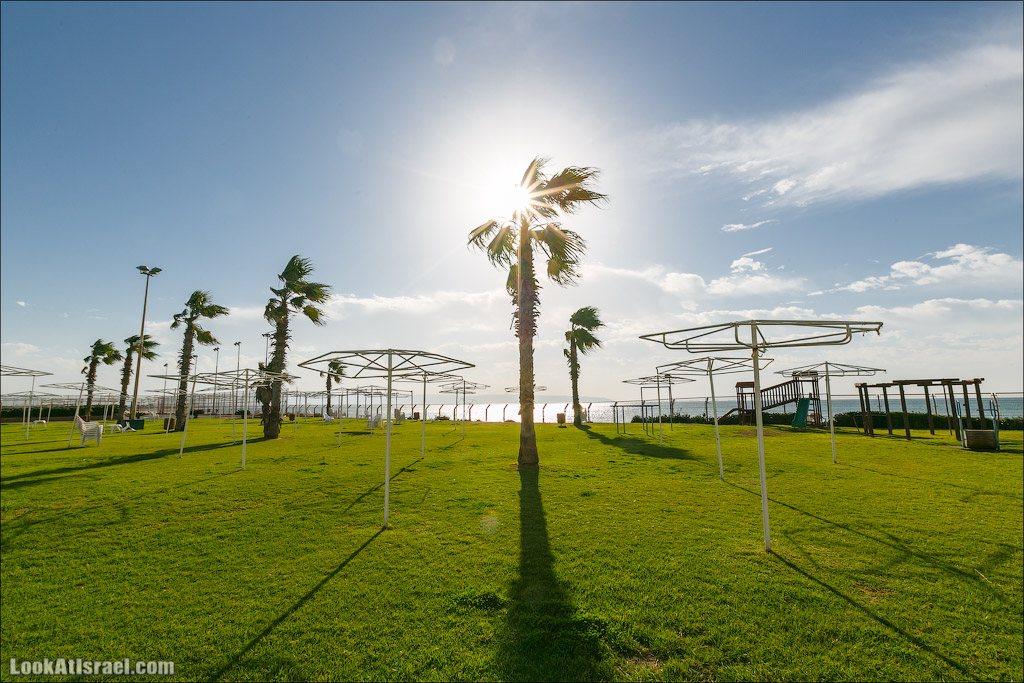 LookAtIsrael.com - Фото путешествия по Израилю | Отель Римоним Палм Бич в Како | Acre, Rimonim Palm Beach Hotel