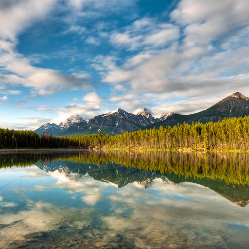 Hd-155121-ascw155121