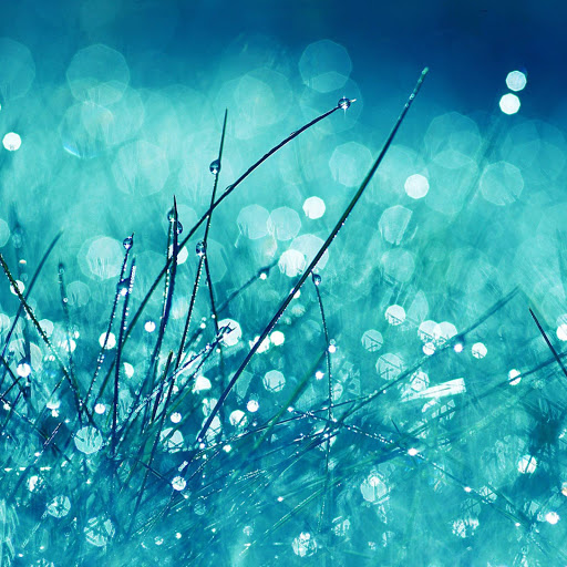 Hd-161332-ascw161332