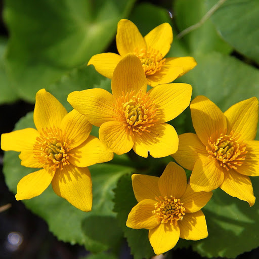 Hd-139867-ascw139867