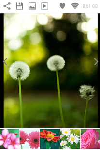 Free Download Flowers Wallpapers ✿ APK