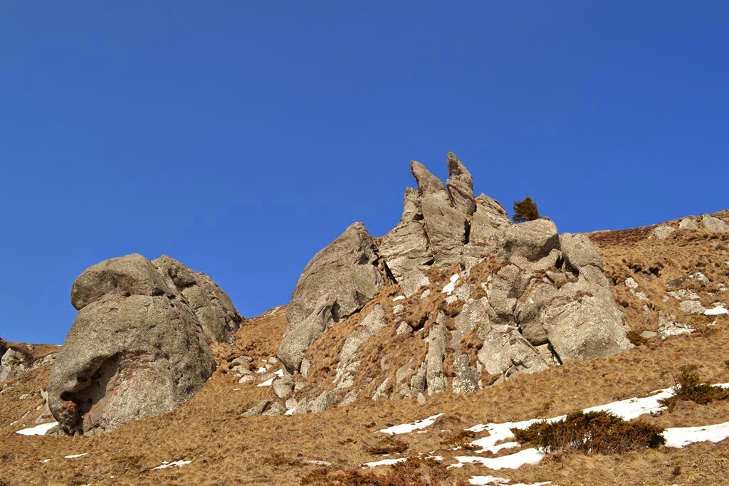 [DSC_59733.jpg]