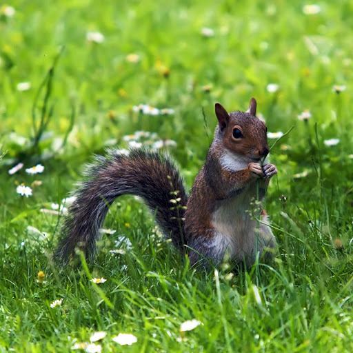 Hd-144317-ascw144317