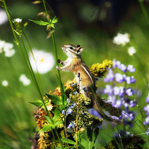 Hd-150358-ascw150358